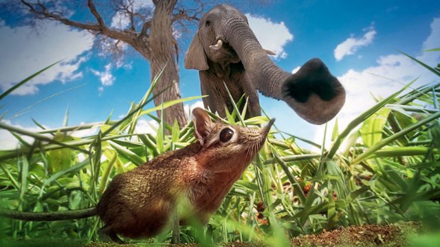 Vương Quốc Bí Ẩn (Hidden Kingdoms 2009)