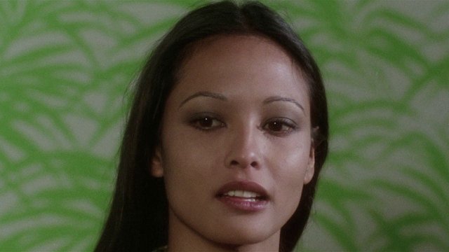 Yêu Nữ Rắn Đen (Black Cobra 1976)