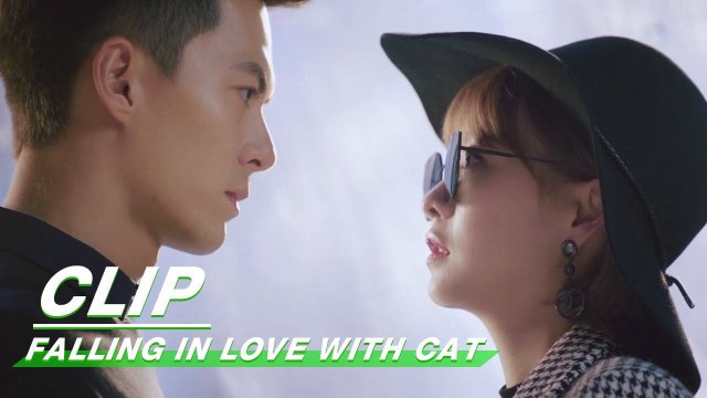 Yêu Phải Nàng Meo Tinh (Falling in Love With Cat 2020)