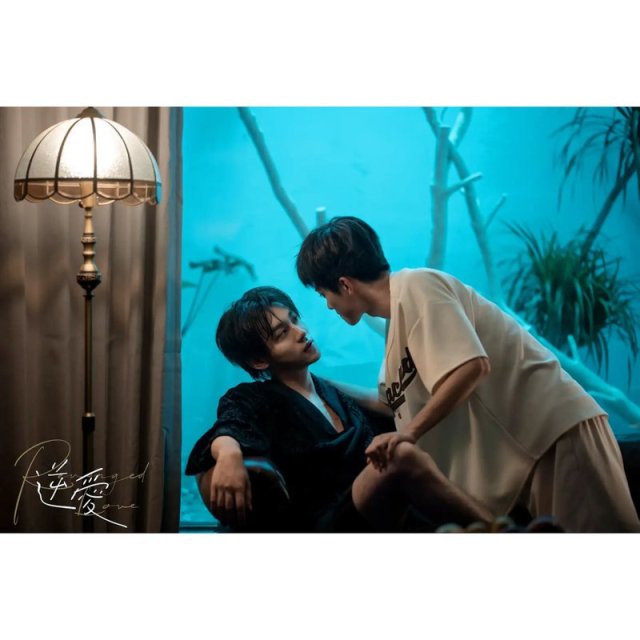 Nghịch Tập (Revenged Love 2025)