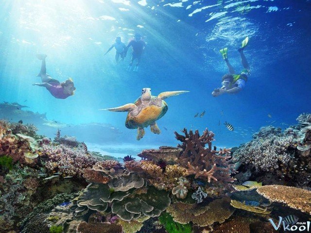 Xem Phim Khám Phá Rạn San Hô Vĩ Đại Với David Attenborough - Bbc: Great Barrier Reef With David Attenborough - Ahaphim.com - Ảnh 2