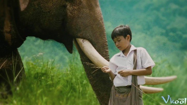 Xem Phim Truy Tìm Voi Thái - The Protector - Ahaphim.com - Ảnh 4