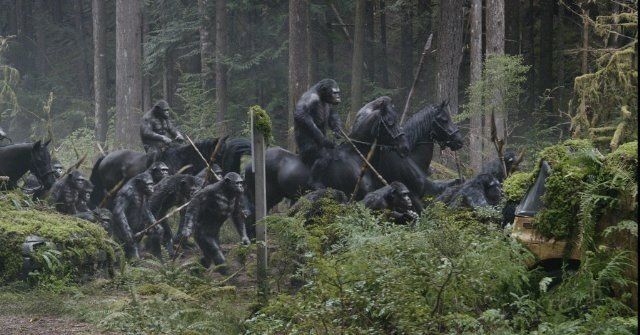 Xem Phim Sự Khởi Đầu Của Hành Tinh Khỉ - Dawn Of The Planet Of The Apes - Ahaphim.com - Ảnh 6