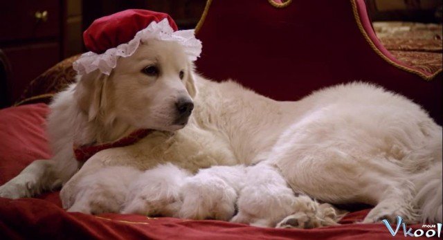 Câu Chuyện Về Santa Pups (Santa Paws 2: The Santa Pups)
