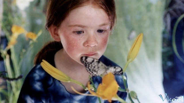 Cánh Bướm (The Butterfly 2002)