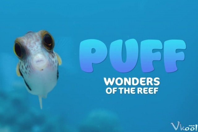 Puff: Rạn San Hô Kỳ Diệu (Puff: Wonders Of The Reef 2021)