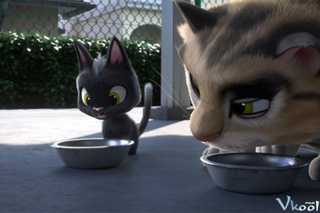 Xem Phim Chú Mèo Đi Lạc - Rudolf The Black Cat - Ahaphim.com - Ảnh 2