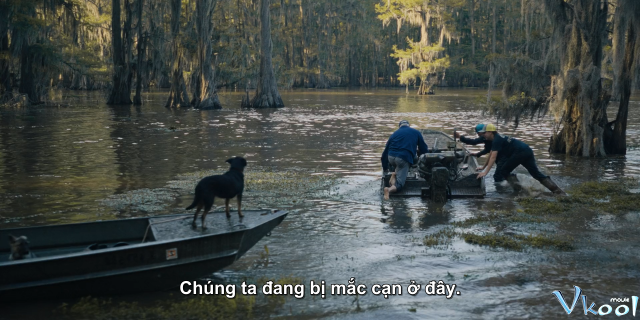 Bí Ẩn Hồ Caddo (Caddo Lake 2024)