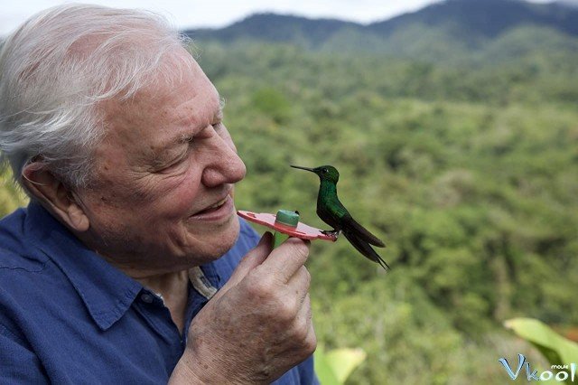 Xem Phim David Attenborough: Sự Sống Đầy Màu Sắc - Life In Colour With David Attenborough - Ahaphim.com - Ảnh 2