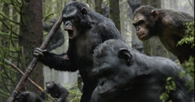 Xem Phim Sự Khởi Đầu Của Hành Tinh Khỉ - Dawn Of The Planet Of The Apes - Ahaphim.com - Ảnh 2