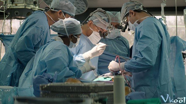 Những Thiên Tài Phẫu Thuật (The Surgeon's Cut 2020)