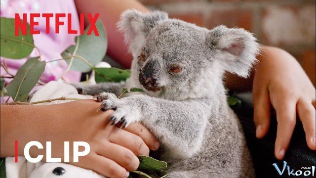 Thế Giới Gấu Túi Của Izzy 2 (Izzy's Koala World Season 2 2021)