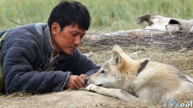 Xem Phim Lang Đồ Đằng (totem Sói) - Wolf Totem - Ahaphim.com - Ảnh 5