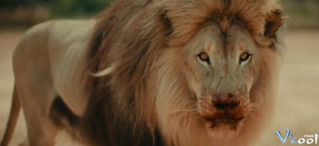 Xem Phim Con Mồi Ngon - Prey - Ahaphim.com - Ảnh 2