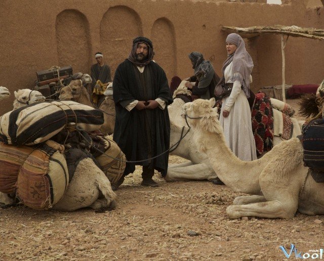 Xem Phim Nữ Hoàng Sa Mạc - Queen Of The Desert - Ahaphim.com - Ảnh 3