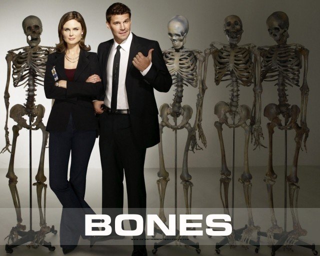 Hài Cốt Phần 1 (Bones Season 1)