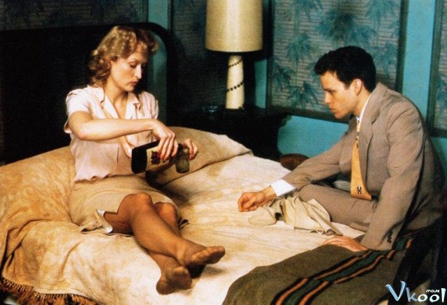 Xem Phim Lựa Chọn Của Sophie - Sophie's Choice - Ahaphim.com - Ảnh 3