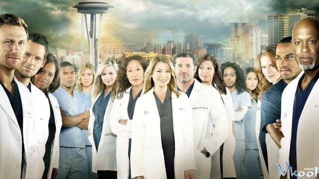 Ca Phẫu Thuật Của Grey 12 (Grey's Anatomy Season 12)