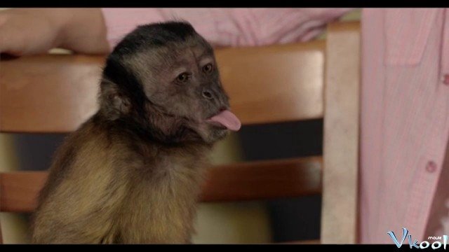 Chú Khỉ Lắm Chiêu (Gibby 2016)