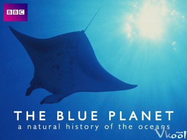 Xem Phim Đại Dương Sâu Thẳm - The Blue Planet - Ahaphim.com - Ảnh 4