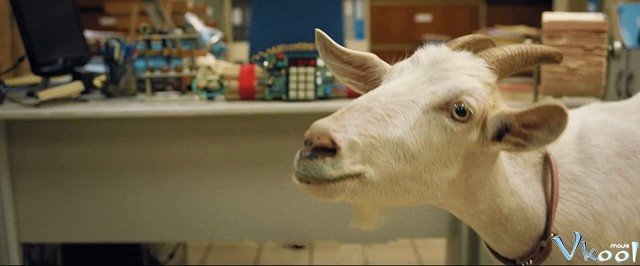 Xem Phim Vụ Án Bắt Dê - Get The Goat - Ahaphim.com - Ảnh 3