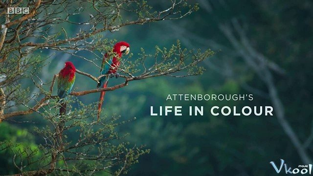 David Attenborough: Sự Sống Đầy Màu Sắc (Life In Colour With David Attenborough)
