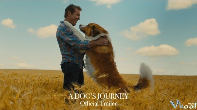 Xem Phim Hành Trình Của Chú Chó Bailey - A Dog's Journey - Ahaphim.com - Ảnh 3