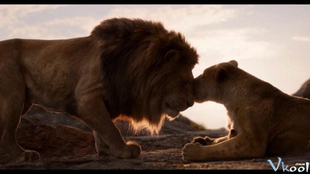 Vua Sư Tử (The Lion King 2019)