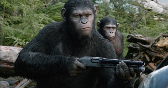 Xem Phim Sự Khởi Đầu Của Hành Tinh Khỉ - Dawn Of The Planet Of The Apes - Ahaphim.com - Ảnh 4