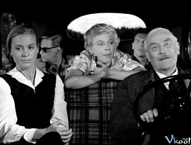 Xem Phim Trái Dâu Dại - Wild Strawberries - Ahaphim.com - Ảnh 3