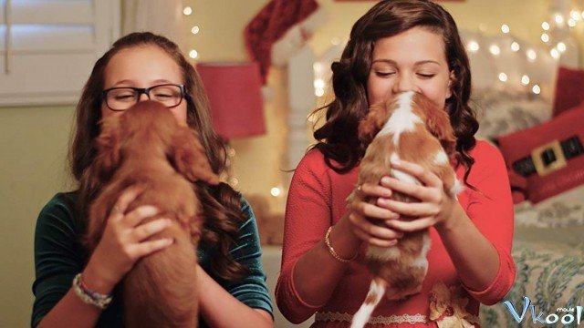 Xem Phim Cún Con Cho Giáng Sinh - Project: Puppies For Christmas - Ahaphim.com - Ảnh 3