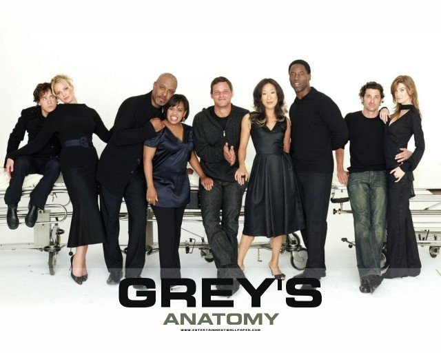 Ca Phẫu Thuật Của Grey 4 (Grey's Anatomy Season 4)