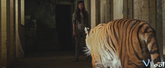 Xem Phim Cọp Không Biết Sợ - Tigers Are Not Afraid - Ahaphim.com - Ảnh 3