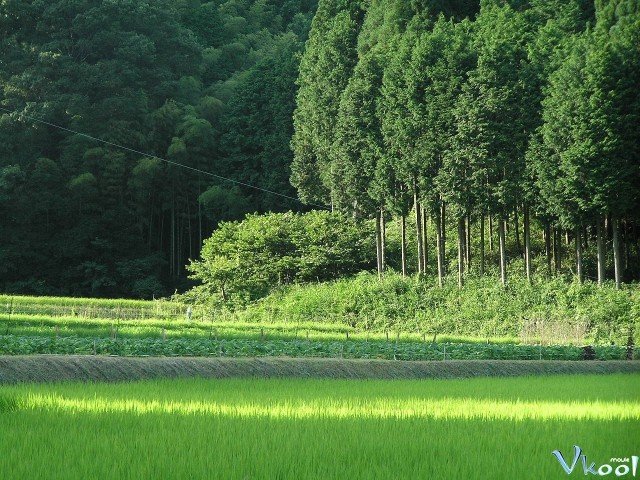 Xem Phim Satoyama: Khu Vườn Thủy Sinh Tuyệt Vời - Satoyama: Japan's Secret Water Garden - Ahaphim.com - Ảnh 3