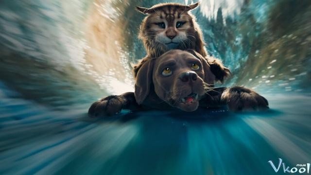 Xem Phim Mèo Và Chó - Cat & Dog - Ahaphim.com - Ảnh 3