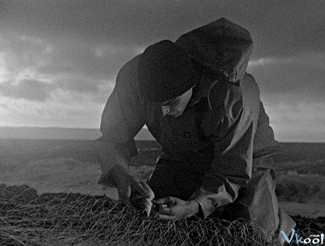 Xem Phim Mồi Câu - Bait - Ahaphim.com - Ảnh 2