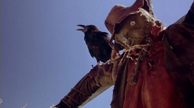 Bù Nhìn Rơm (Night Of The Scarecrow)