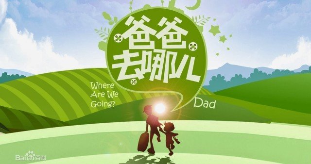 Bố Ơi Mình Đi Đâu Thế 2 (Dad! Where Are You Going Season 2)