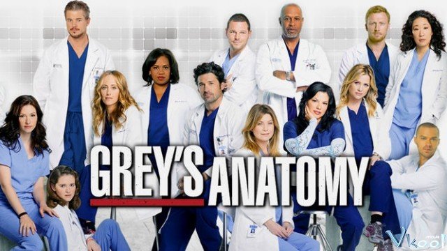 Ca Phẫu Thuật Của Grey 8 (Grey's Anatomy Season 8)