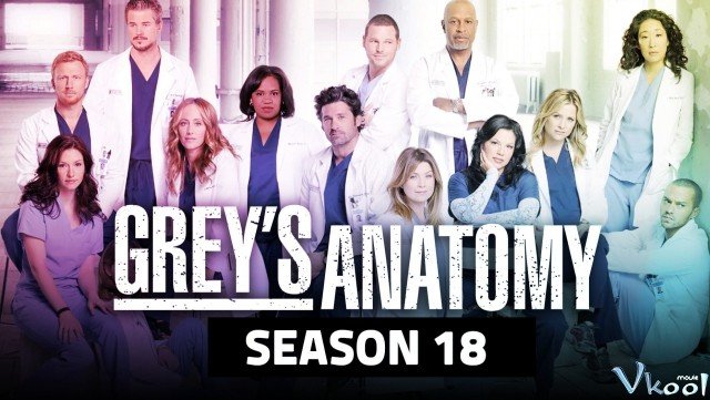 Ca Phẫu Thuật Của Grey 18 (Grey's Anatomy Season 18)