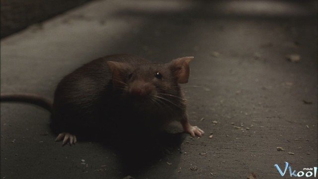 Xem Phim Chuột Siêu Quậy - Mousehunt - Ahaphim.com - Ảnh 3