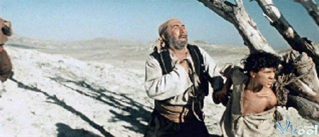 Xem Phim Don Quijote Xứ Mancha - Don Kikhot - Ahaphim.com - Ảnh 2