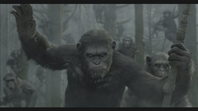 Xem Phim Sự Khởi Đầu Của Hành Tinh Khỉ - Dawn Of The Planet Of The Apes - Ahaphim.com - Ảnh 7