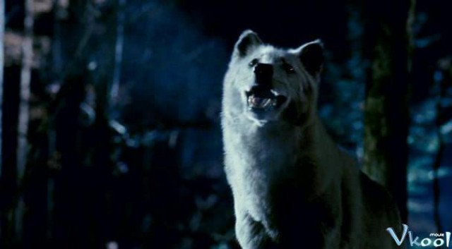 Xem Phim Công Viên Gấu Xám - Grizzly Park - Ahaphim.com - Ảnh 3