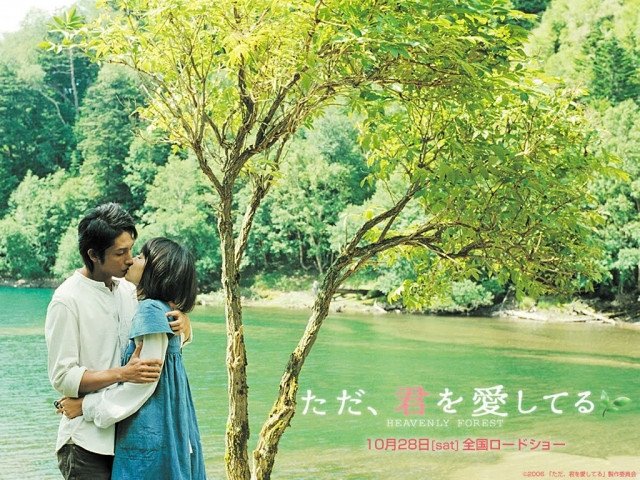 Xem Phim Khi Yêu - Heavenly Forest - Ahaphim.com - Ảnh 3