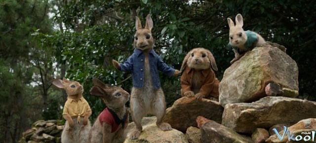Xem Phim Thỏ Peter - Peter Rabbit - Ahaphim.com - Ảnh 2