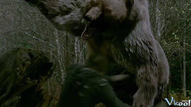 Xem Phim Lạc Vào Mê Lộ Gấu Hung Ác - Into The Grizzly Maze - Ahaphim.com - Ảnh 3