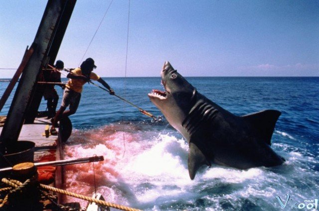 Xem Phim Hàm Cá Mập 4 - Jaws 4: The Revenge - Ahaphim.com - Ảnh 2