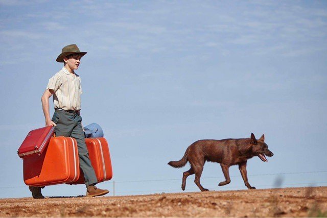 Xem Phim Chú Chó Đỏ 2 - Red Dog: True Blue - Ahaphim.com - Ảnh 3