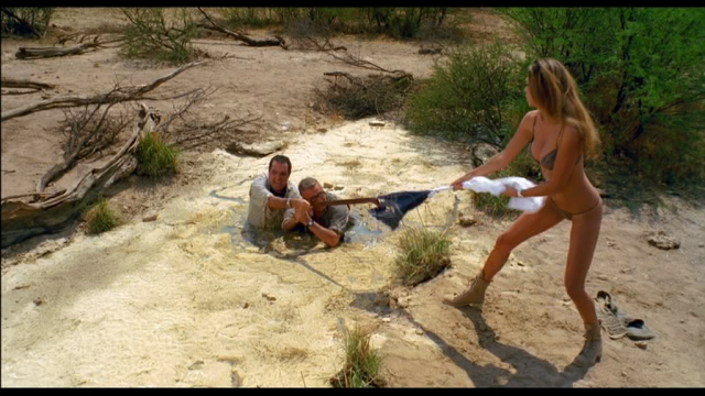 Xem Phim Giáng Sinh Ở Nam Phi - Natale In Sudafrica - Ahaphim.com - Ảnh 4